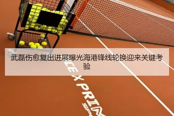 武磊伤愈复出进展曝光海港锋线轮换迎来关键考验
